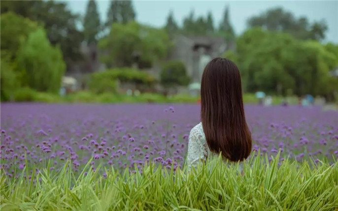 1533257841617003.jpg 14_副本.jpg