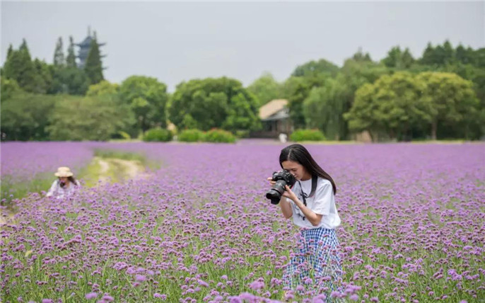 1533257847238619.jpg 15_副本.jpg