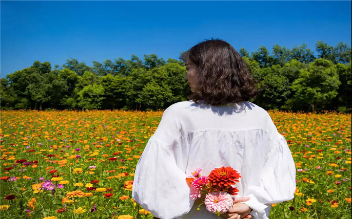 1533257867225643.jpg 16_副本.jpg