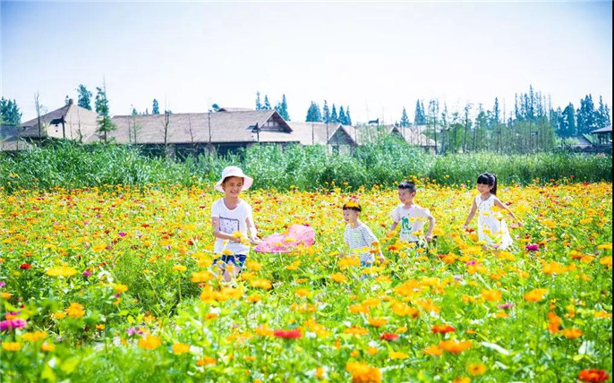 1533257874876008.jpg 17_副本.jpg