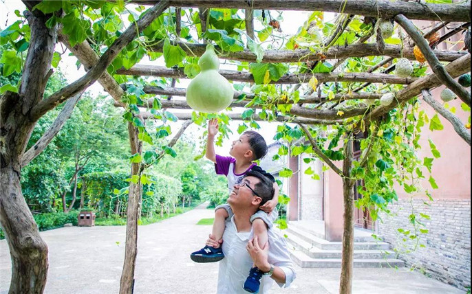 1533257886247077.jpg 18_副本.jpg