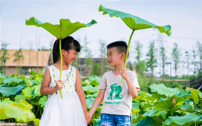 1533257892480322.jpg 19_副本.jpg