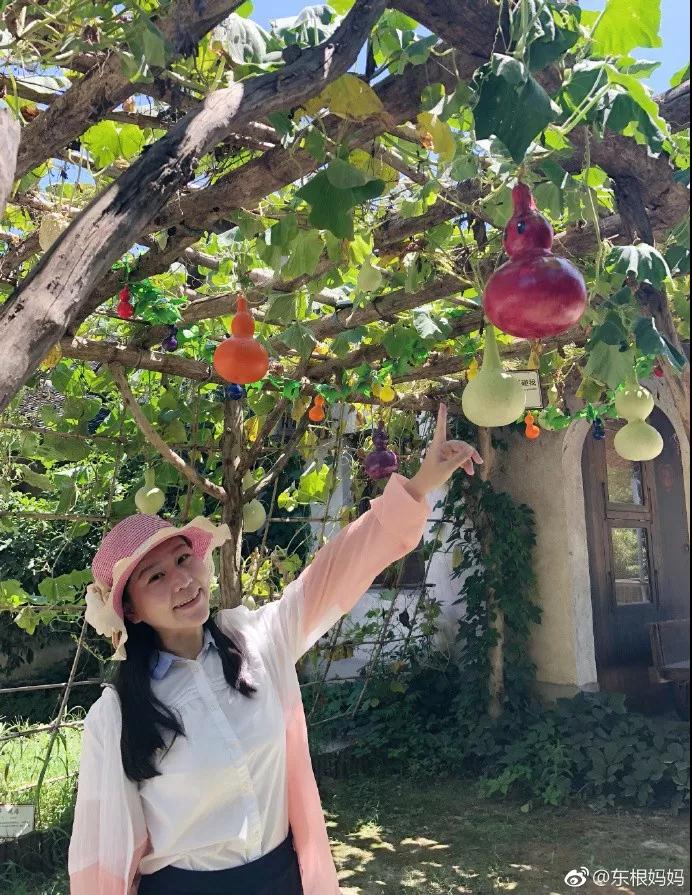 1533866035484091.jpg 3.jpg