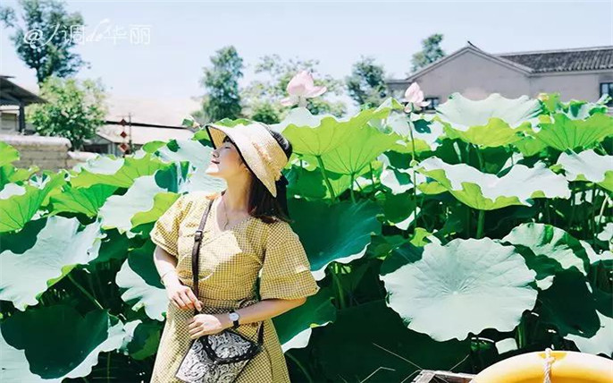 1533866054934910.jpg 5_副本.jpg