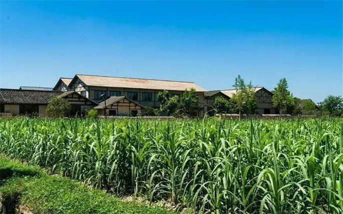 1533866110853224.jpg 8_副本.jpg