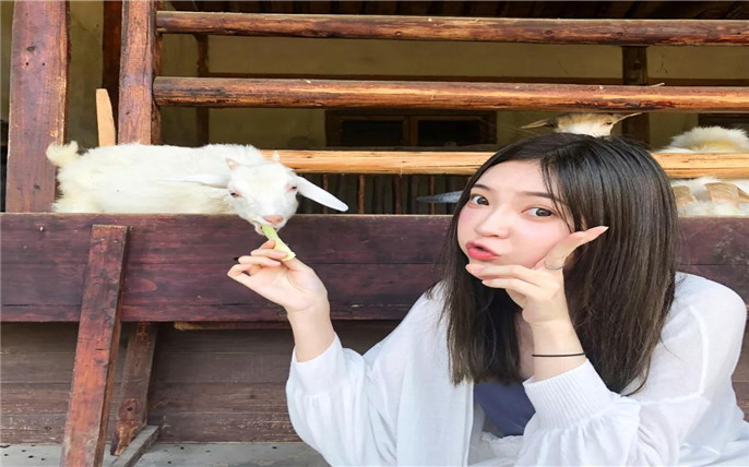 1533866662368922.jpg 18_副本.jpg