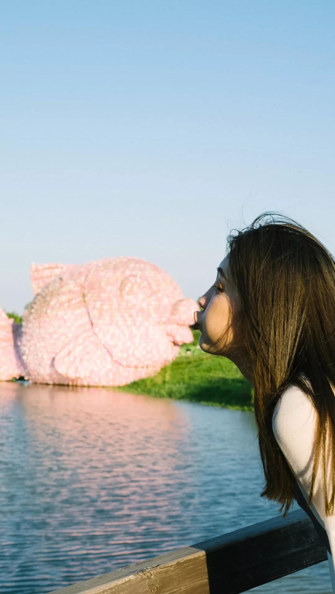 1533866769252709.jpg 22.jpg