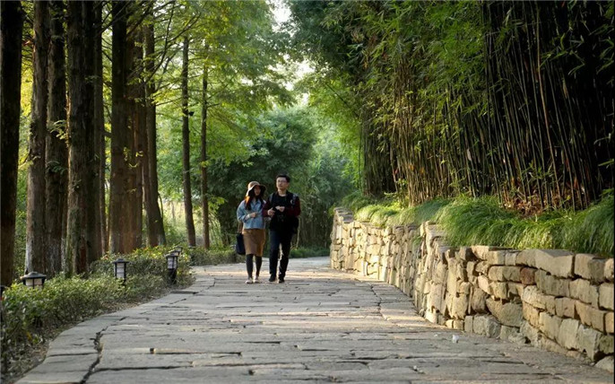 1538612941586465.jpg 1_副本.jpg