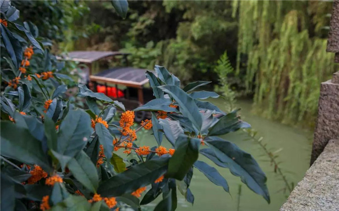 1538613012689632.jpg 微信圖片_20181004082935_副本.jpg