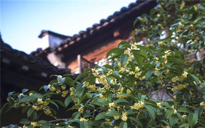 1538613023511262.jpg 微信圖片_20181004082939_副本.jpg