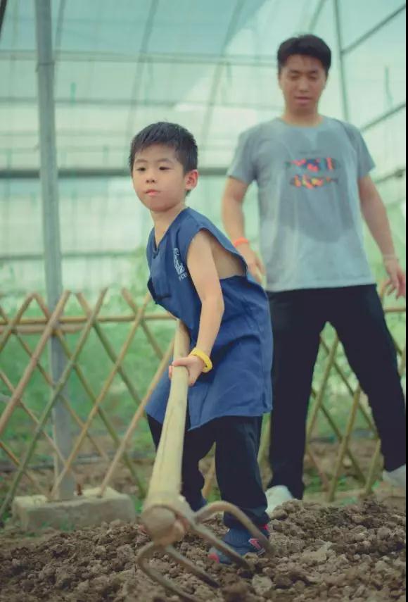 1538613148840724.jpg 12.jpg