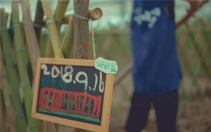 1538613157490182.jpg 14_副本.jpg