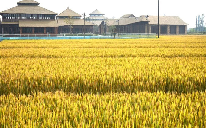 1542080052877894.jpg 16_副本.jpg