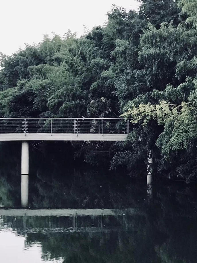 1542270086607996.jpg 19_副本.jpg