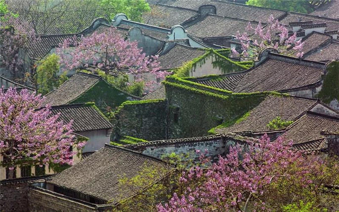 1542846825931611.jpg 2_副本.jpg