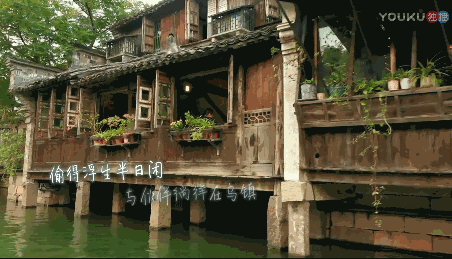 1542847709894843.gif 18.gif