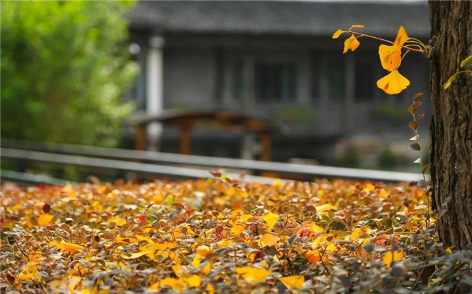 1543049494397536.jpg 3_副本.jpg