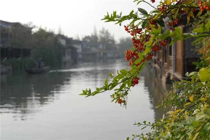 1543049817475893.jpg 1_副本.jpg