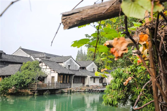 1543194050414149.jpg 6_副本.jpg