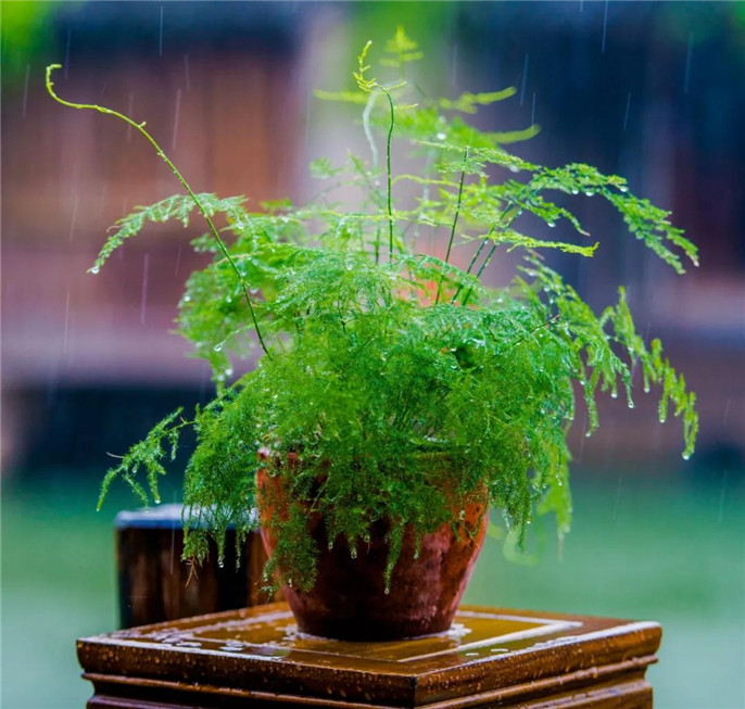 1545617233617006.jpg 1_副本.jpg