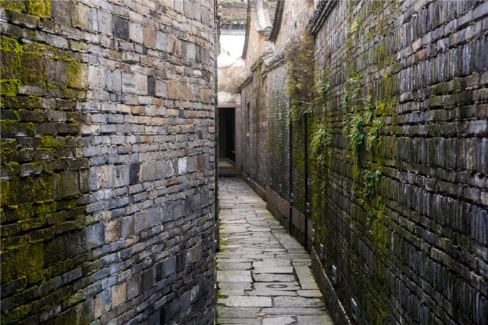 1545617314415233.jpg 3_副本.jpg