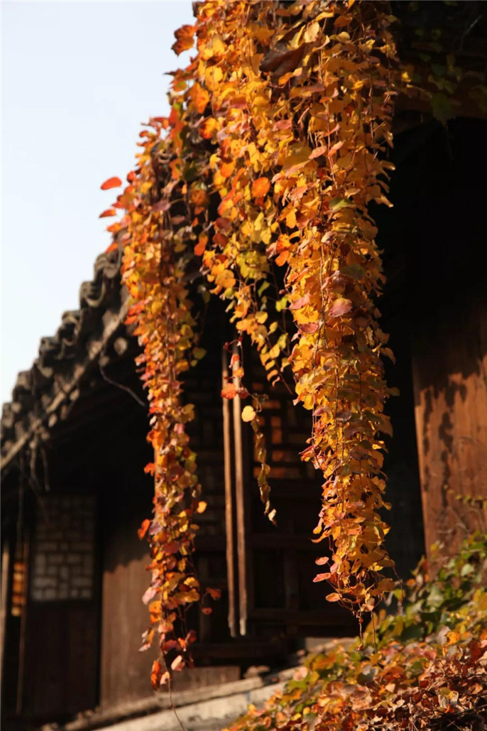 1545617337647818.jpg 6_副本.jpg