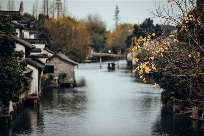 1546045359224436.jpg 2_副本.jpg