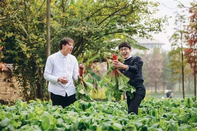 1546045634259847.jpg 28_副本.jpg