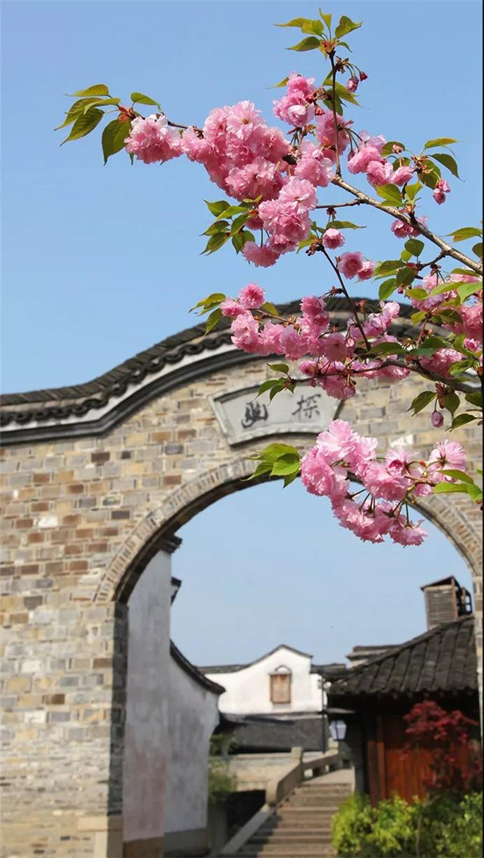 1546396584555396.jpg 2_副本.jpg