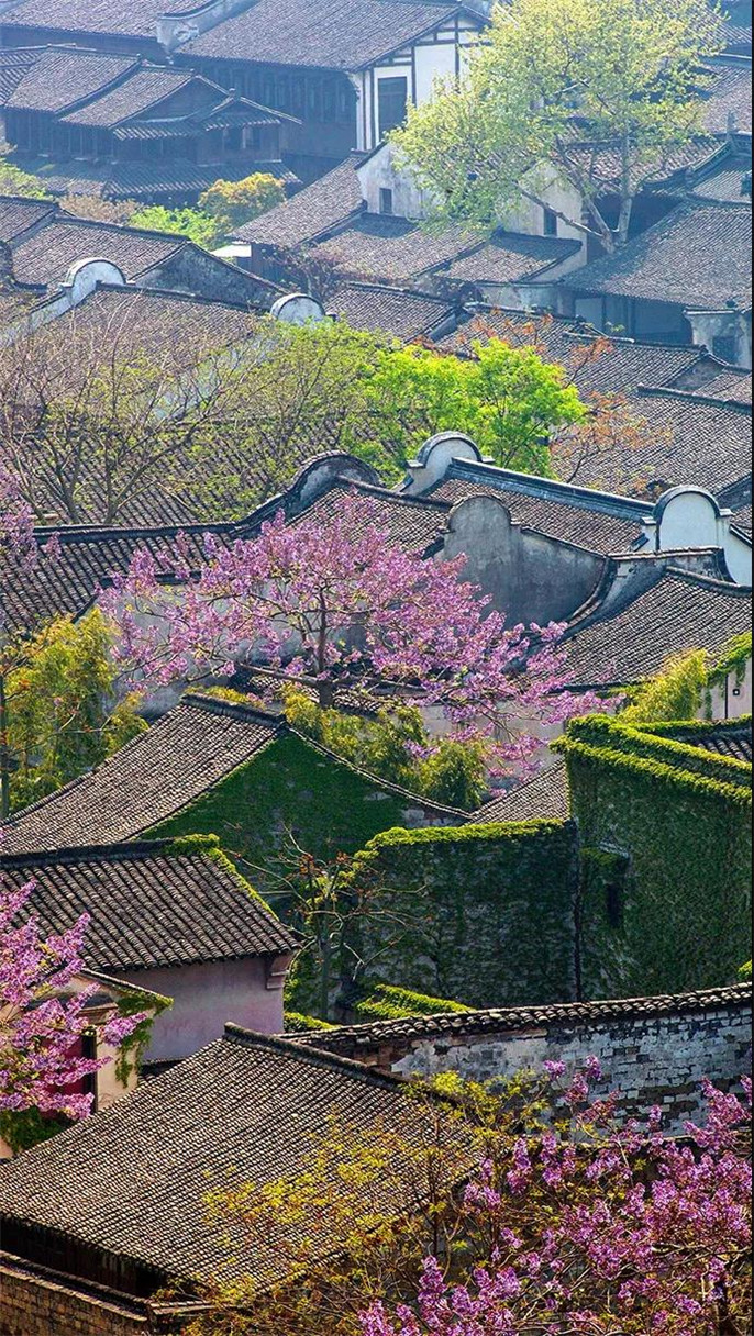 1546396590954077.jpg 3_副本.jpg