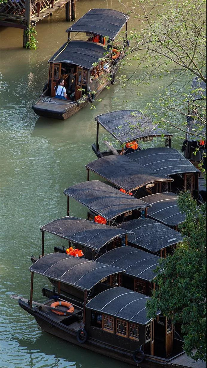 1546396595694562.jpg 4_副本.jpg