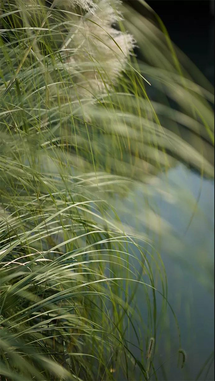 1546396706999124.jpg 6_副本.jpg