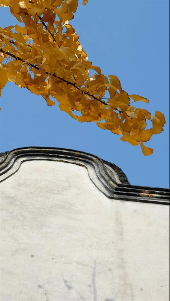 1546396727270700.jpg 8_副本.jpg