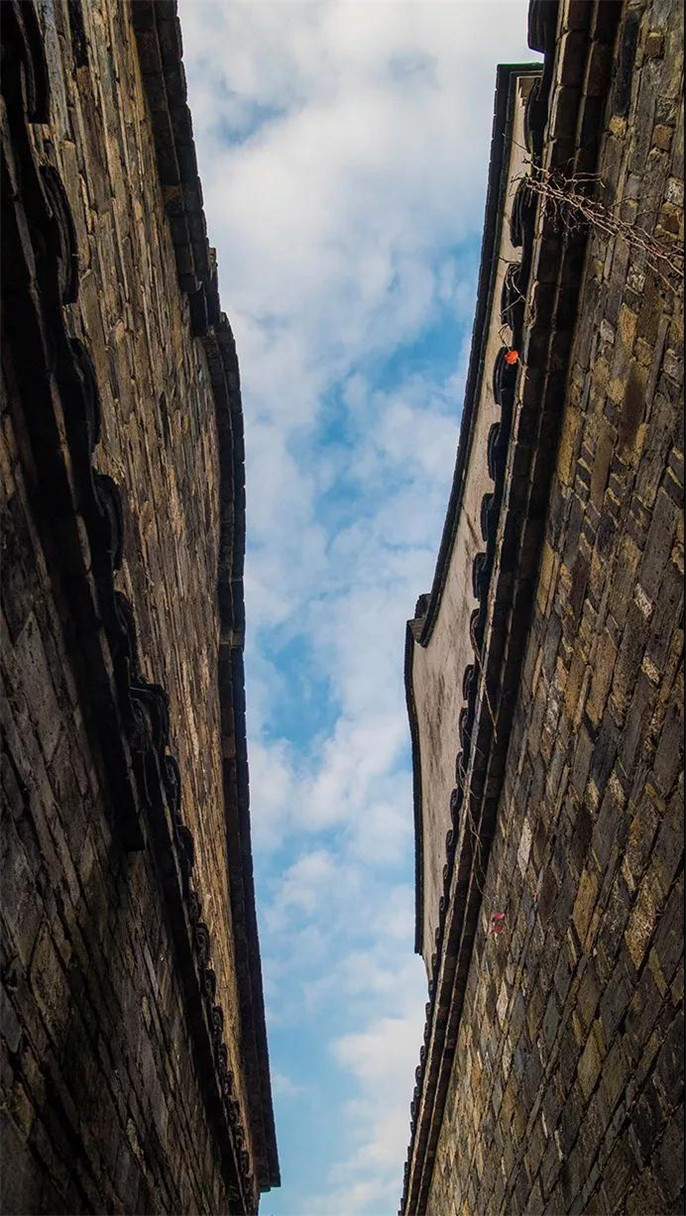 1546396736572902.jpg 10_副本.jpg