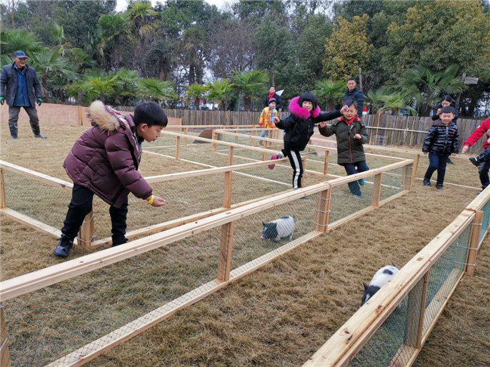 1549589501713201.jpg 微信圖片_20190208092004.jpg