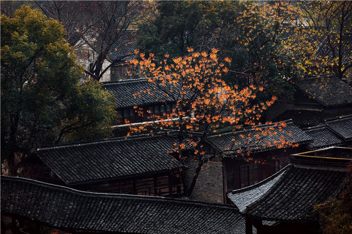 1550974874638942.jpg IS4A5503.jpg