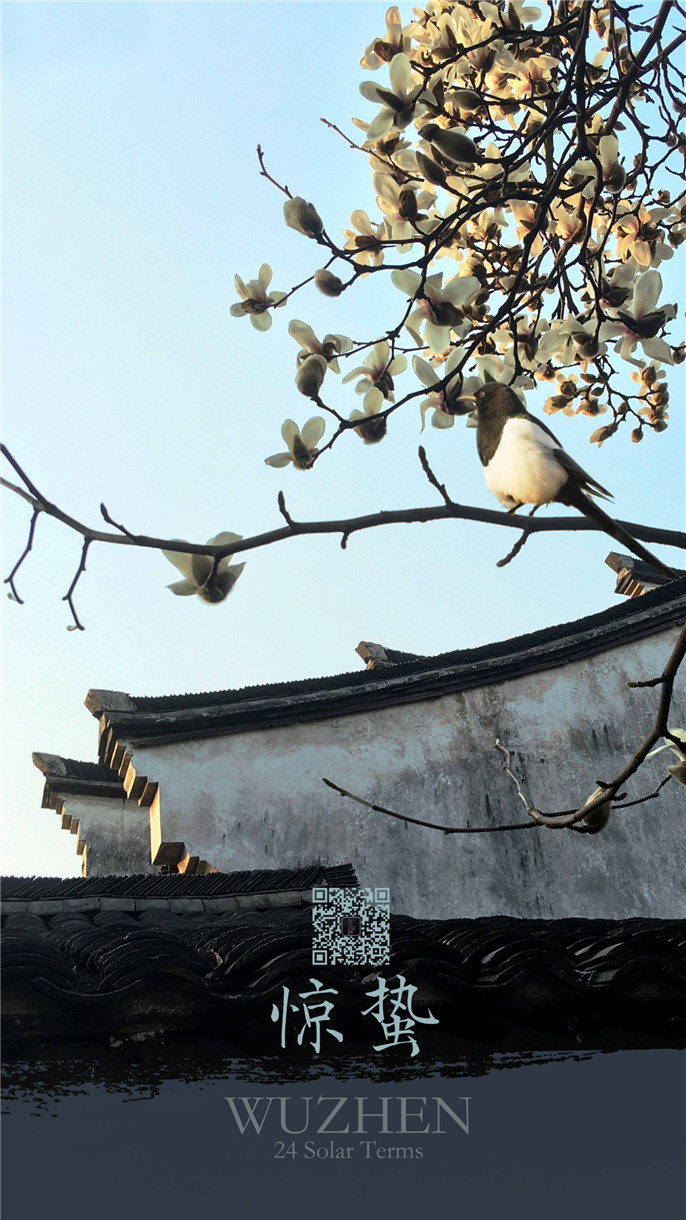 1552090163547297.jpg 微信圖片_20190309080544.jpg