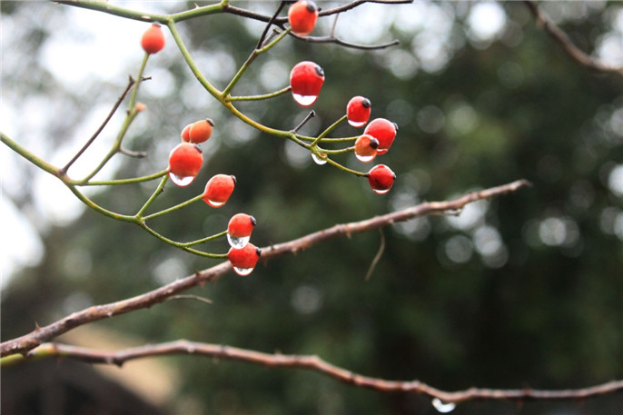 1552090193635439.jpg 微信圖片_20190309080601.jpg