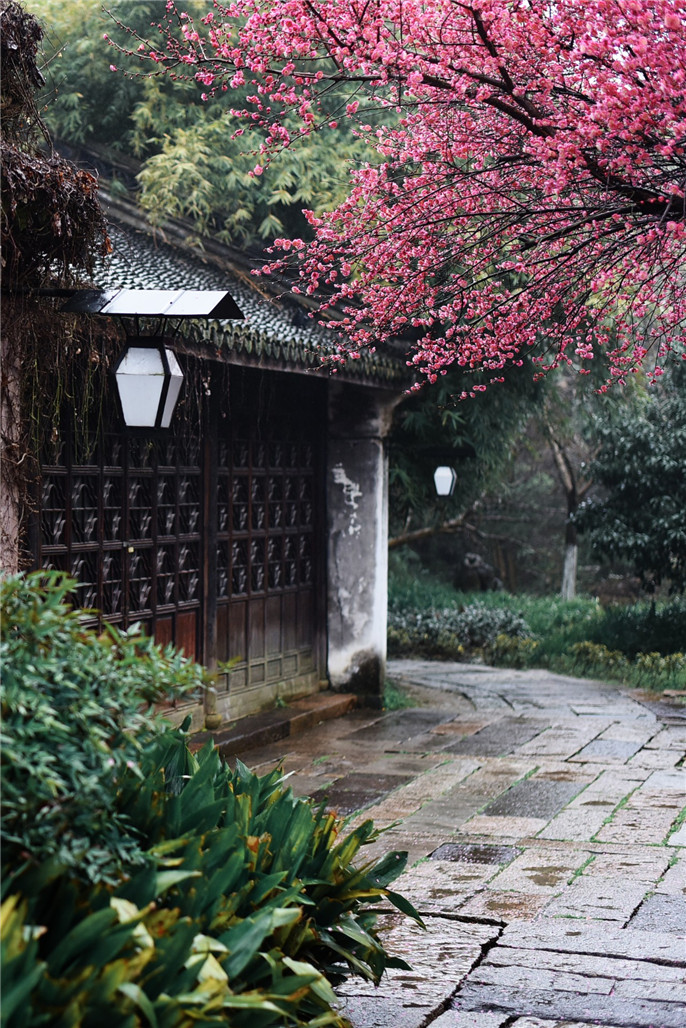 1552090262335340.jpg 微信圖片_20190309080626.jpg