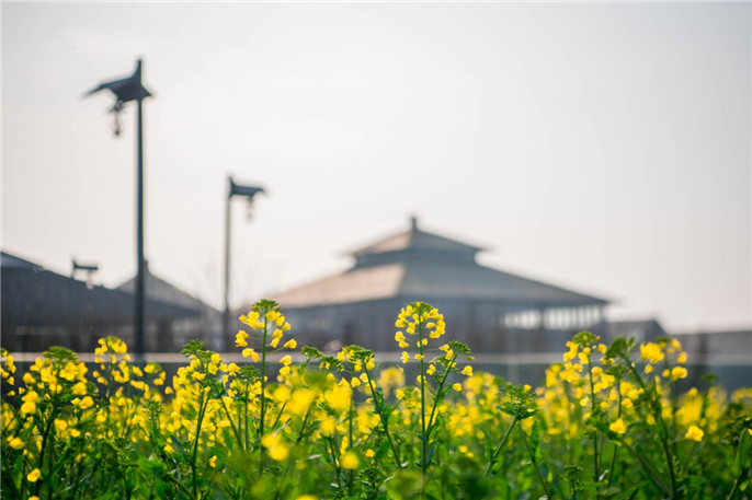 1552090281627524.jpg 微信圖片_20190309080634.jpg