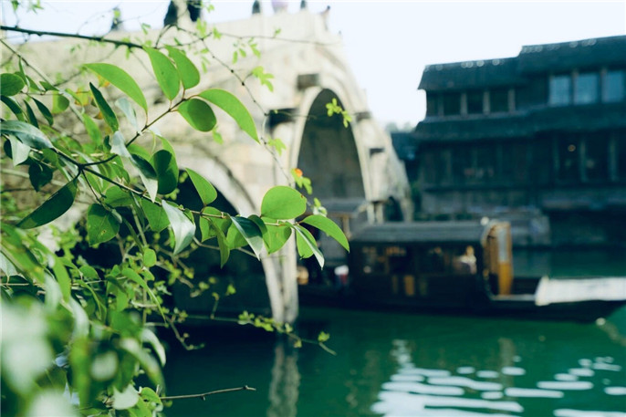 1552091891589456.jpg 微信圖片_20190309083600.jpg