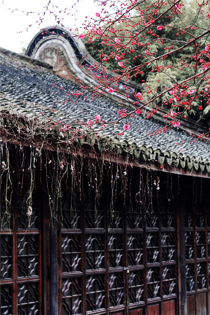 1552091957937589.jpg 微信圖片_20190309083615.jpg