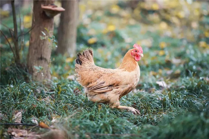 1553130500799773.jpg 微信圖片_20190321090414.jpg