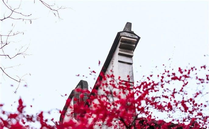 1553217274235967.jpg 微信圖片_20190322091146.jpg