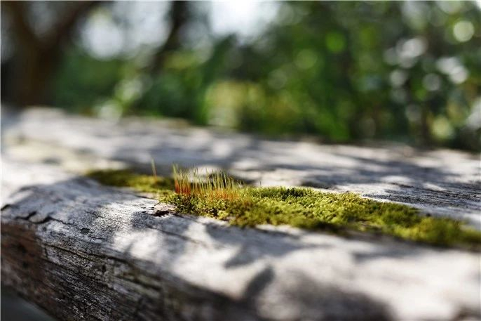 1553217413904160.jpg 微信圖片_20190322091247.jpg