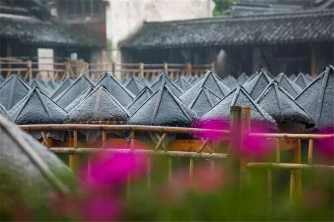 1554167765972919.jpg 微信圖片_20190401143214.jpg