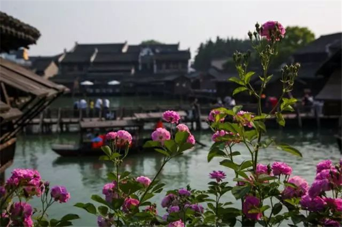 1554168031844134.jpg 微信圖片_20190401143220.jpg