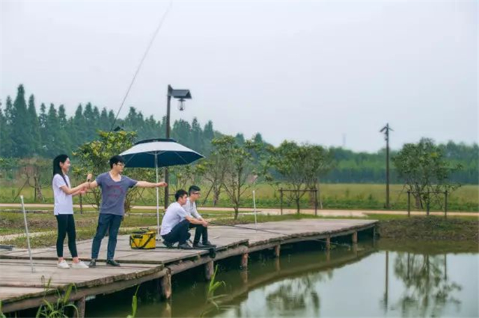 1554175293165144.jpg 微信圖片_20190402081550.jpg