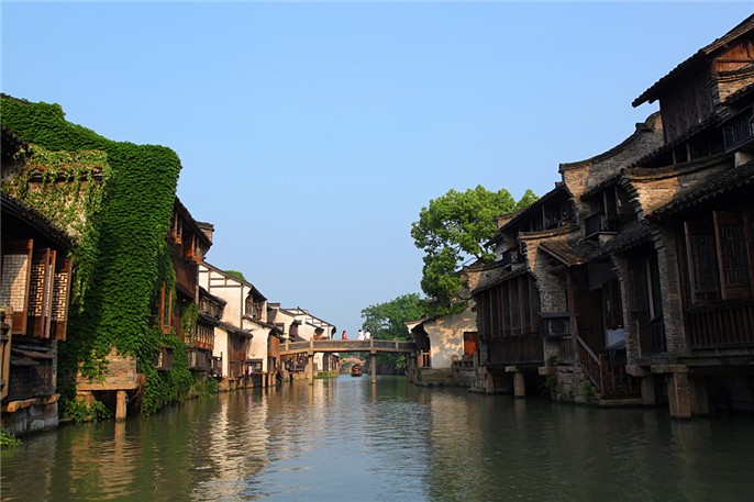 1554423643121047.jpg 西柵·春景2.JPG