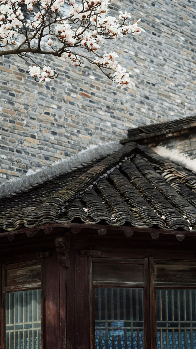 1554685314589146.jpg 微信圖片_20190408085529.jpg